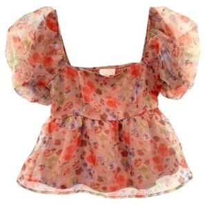 Charmed Hearts Romantic Fairy Puff Sleeve Crop Top